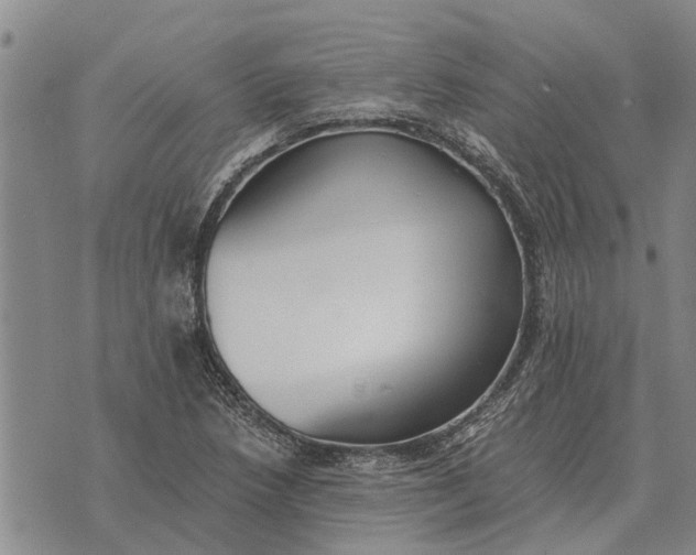 X0000073901218200609011710