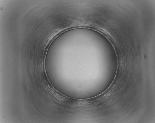 X0000073901220200609011710