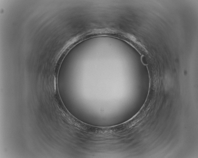 X0000073901221200609011710