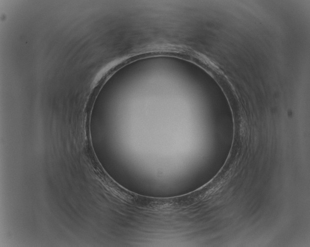 X0000073901222200609011710