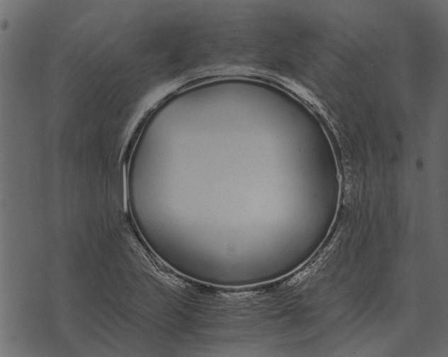 X0000073901223200609011710