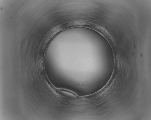 X0000073901225200609011710