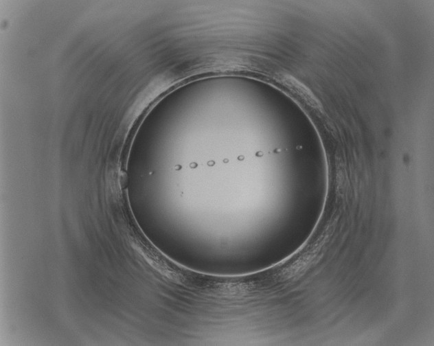 X0000073901226200609011710