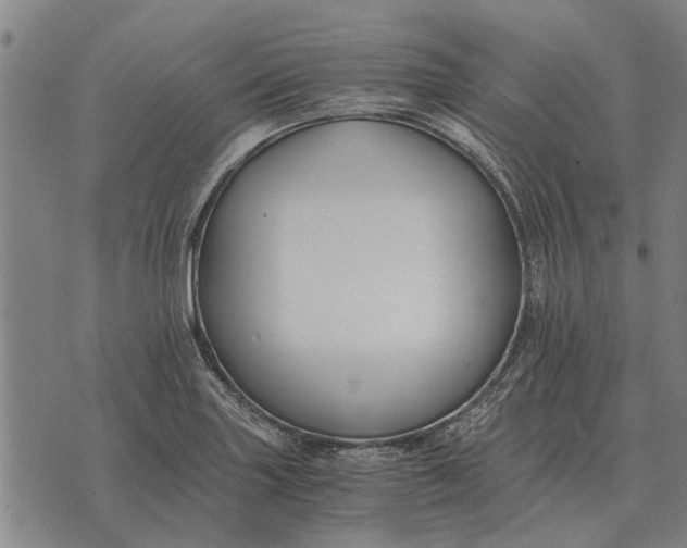 X0000073901227200609011710