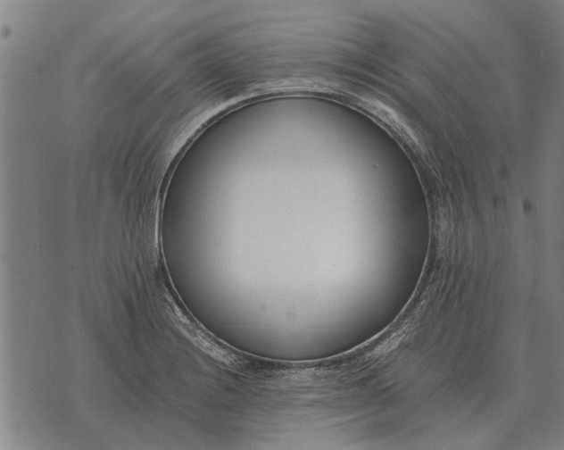 X0000073901228200609011710