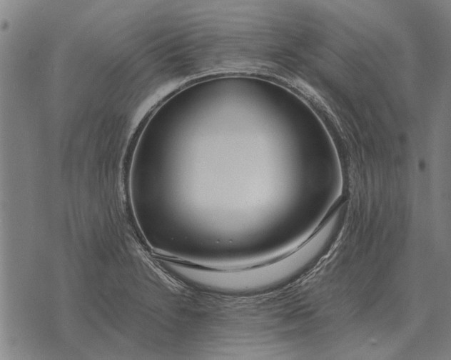 X0000073901230200609011710