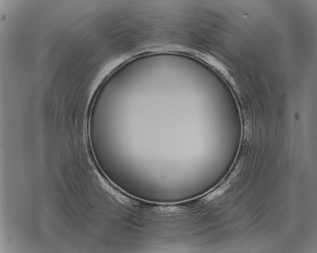 X0000073901231200609011710