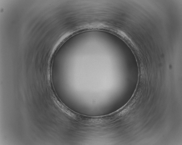 X0000073901232200609011710