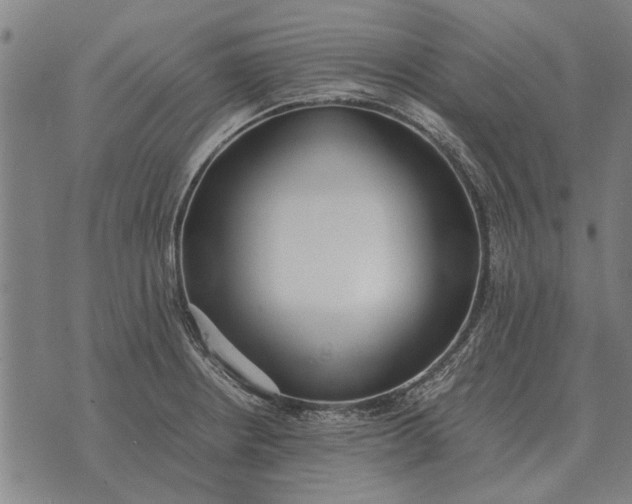 X0000073901234200609011710