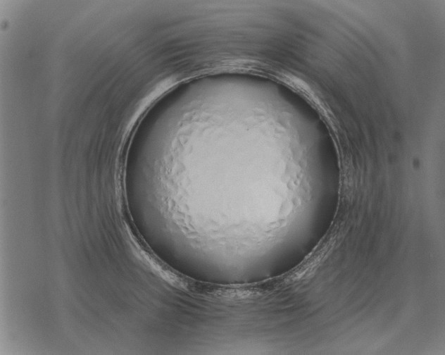 X0000073901235200609011710