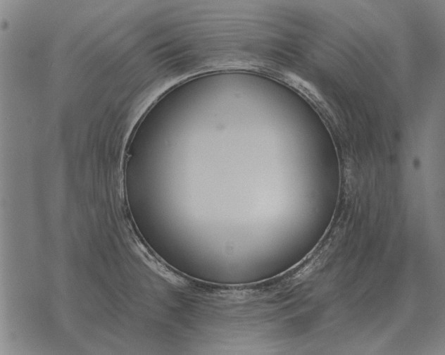 X0000073901236200609011710