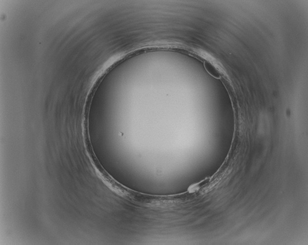 X0000073901237200609011710