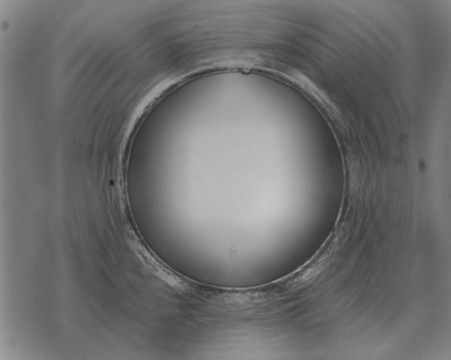 X0000073901240200609011710