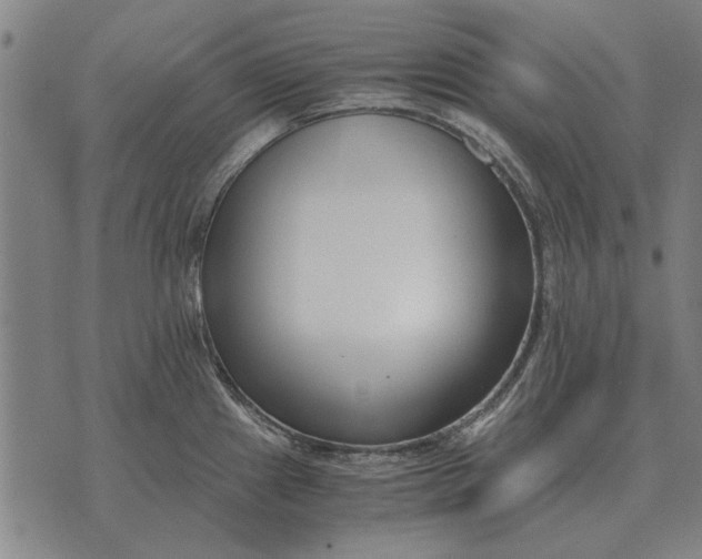 X0000073901241200609011710