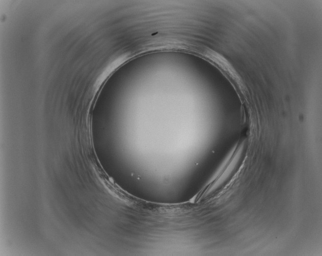 X0000073901242200609011710