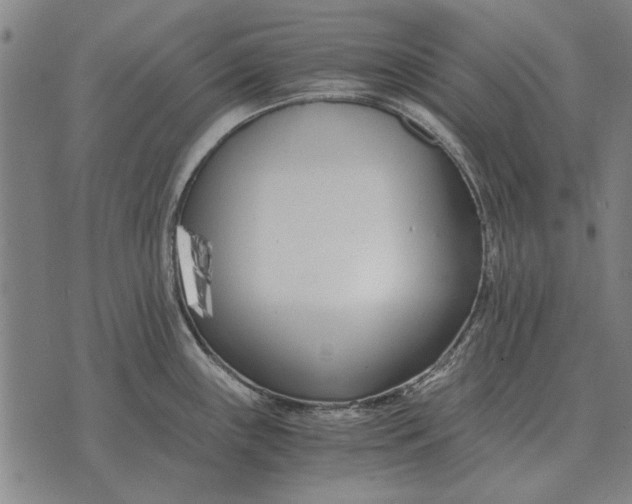 X0000073901243200609011710