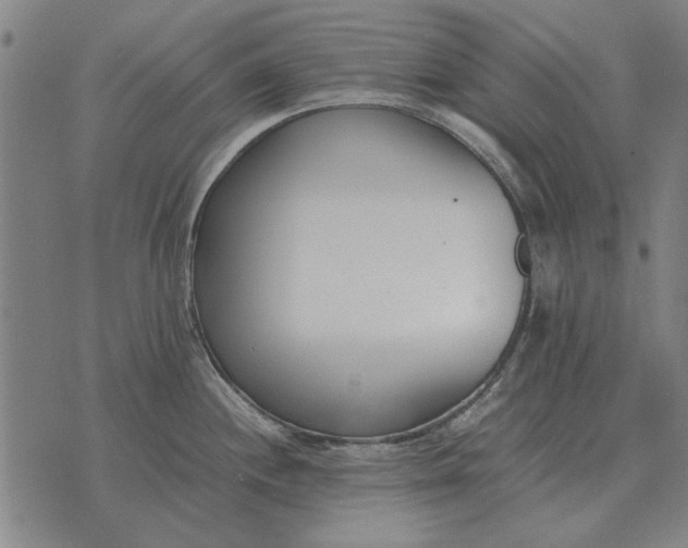 X0000073901244200609011710