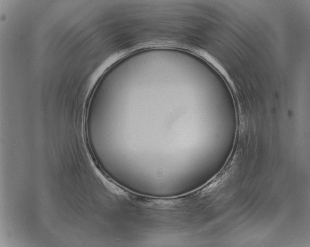 X0000073901245200609011710