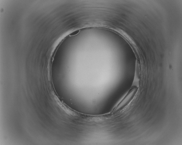 X0000073901246200609011710