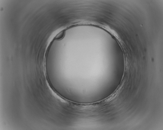 X0000073901247200609011710