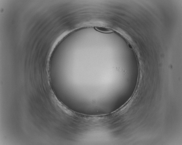 X0000073901248200609011710