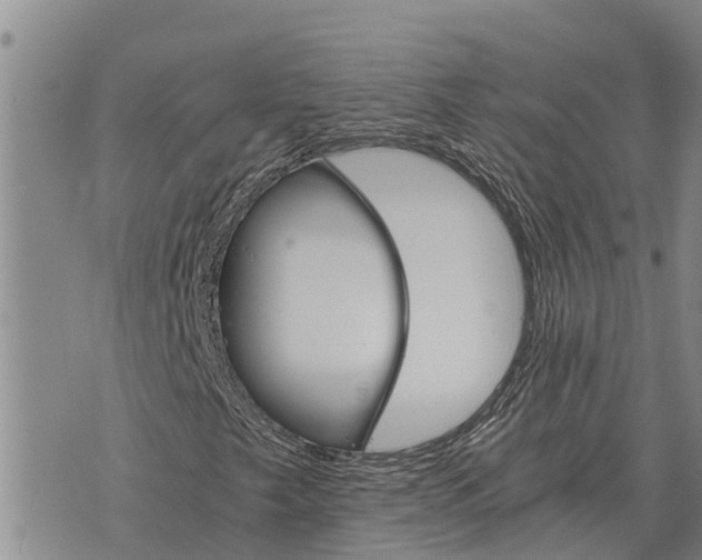 X0000073901249200609011709