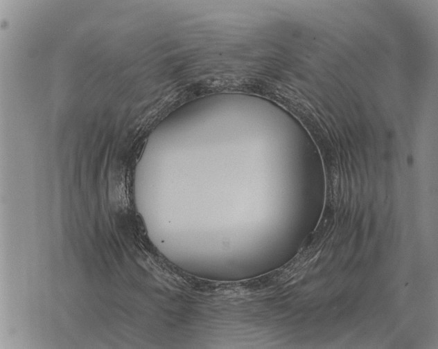 X0000073901250200609011709