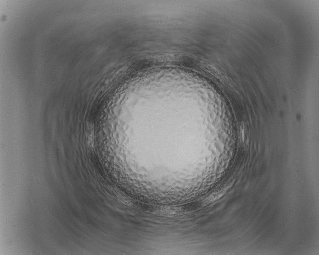 X0000073901251200609011709