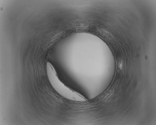 X0000073901252200609011709