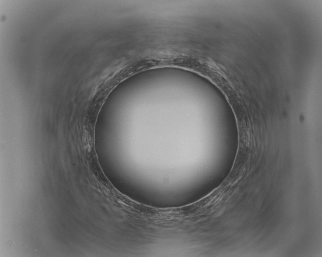 X0000073901253200609011709