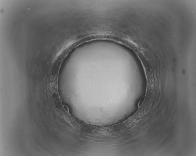 X0000073901255200609011709