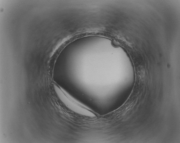 X0000073901256200609011709