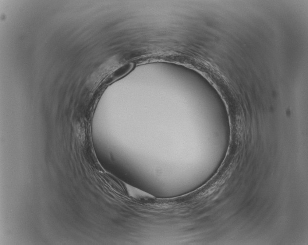 X0000073901257200609011709