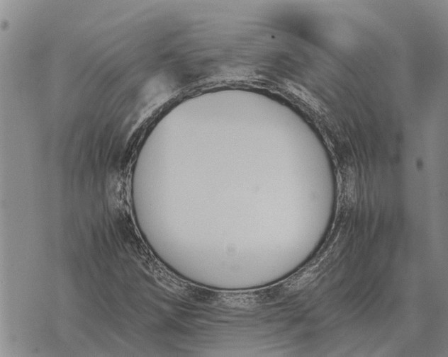 X0000073901258200609011709