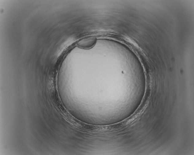 X0000073901259200609011709