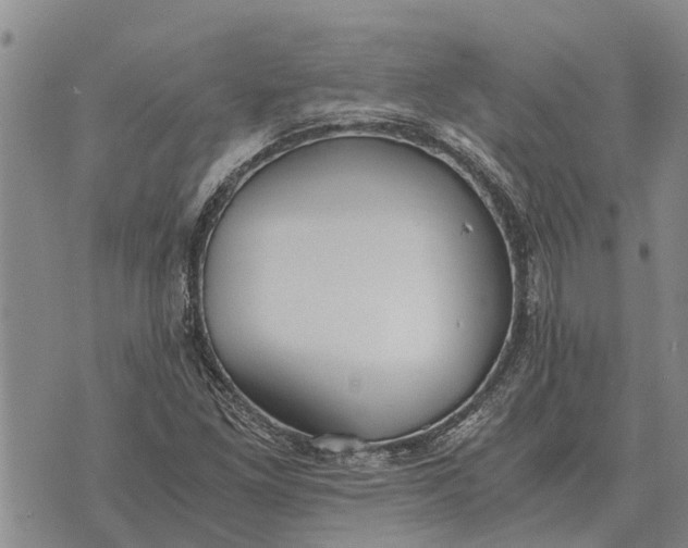 X0000073901261200609011709