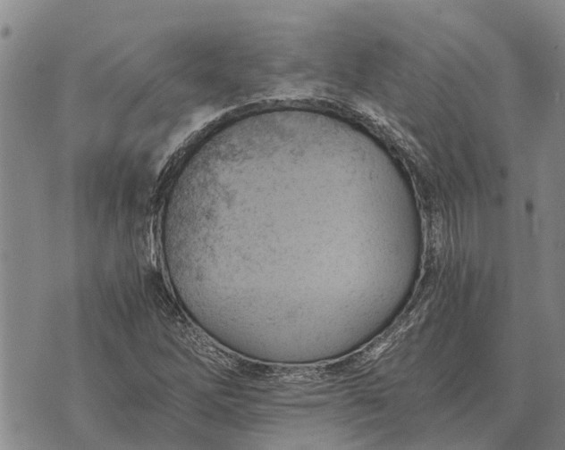 X0000073901262200609011709