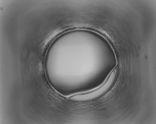 X0000073901263200609011709