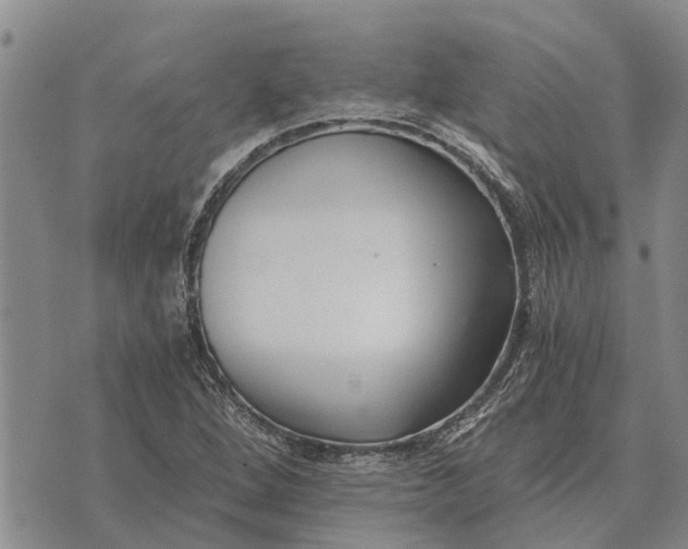 X0000073901264200609011709