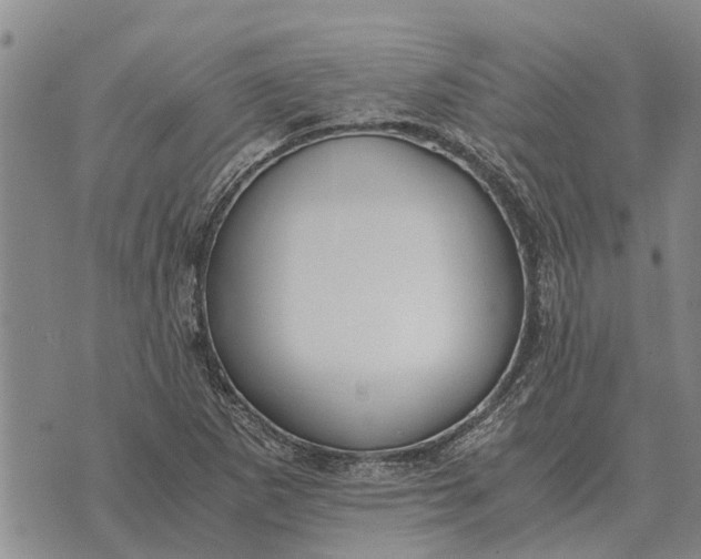 X0000073901265200609011709