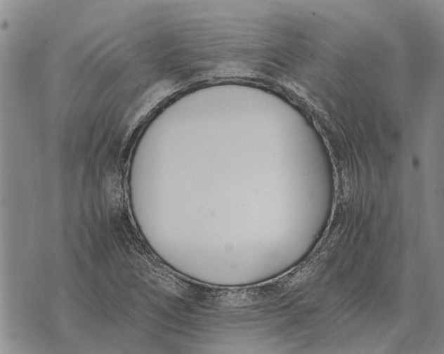 X0000073901266200609011709