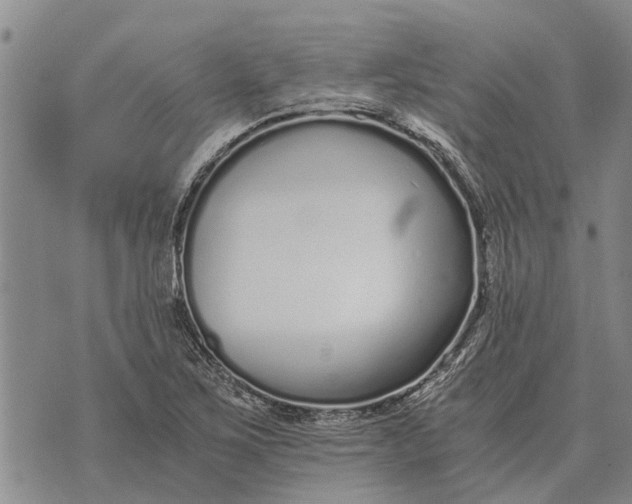 X0000073901267200609011709