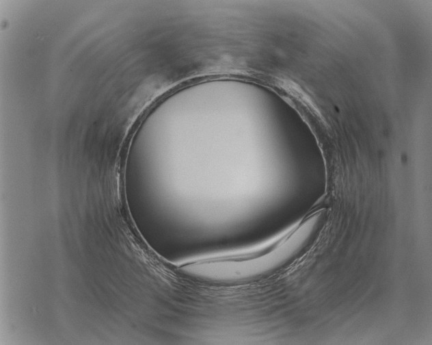 X0000073901268200609011709