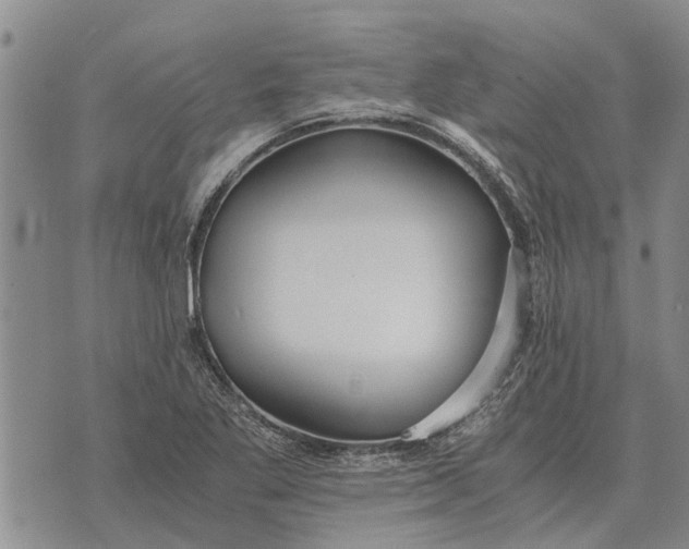 X0000073901269200609011709