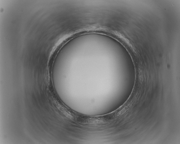 X0000073901270200609011709