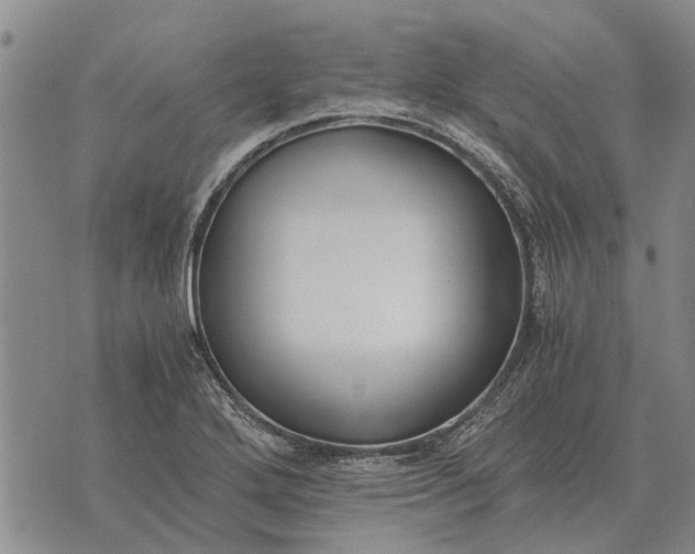 X0000073901272200609011709