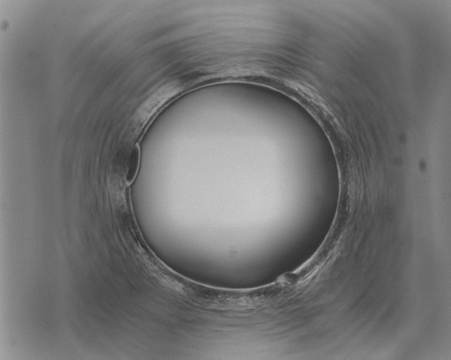 X0000073901273200609011709