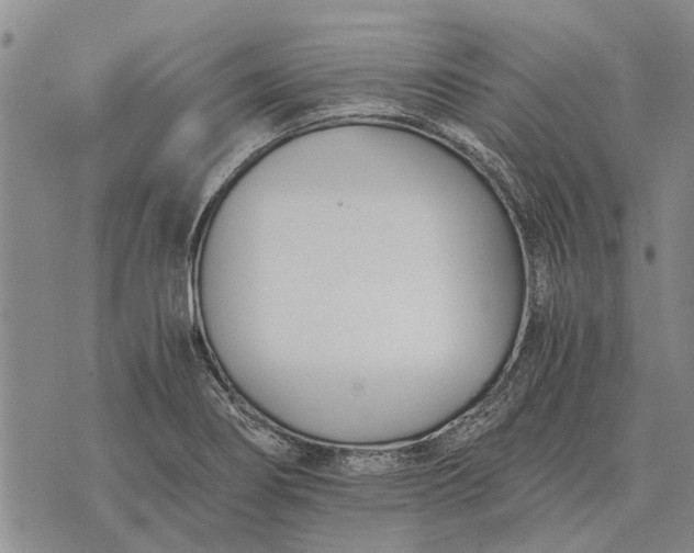 X0000073901274200609011709