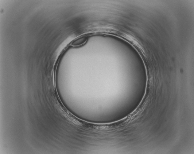 X0000073901275200609011709