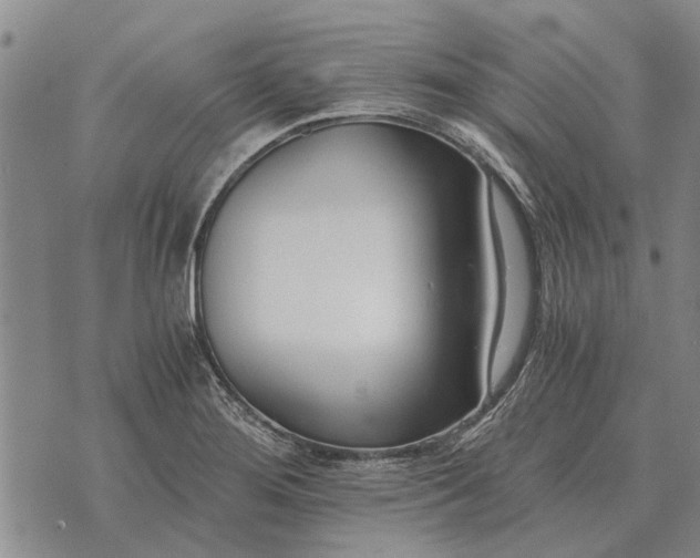 X0000073901276200609011709